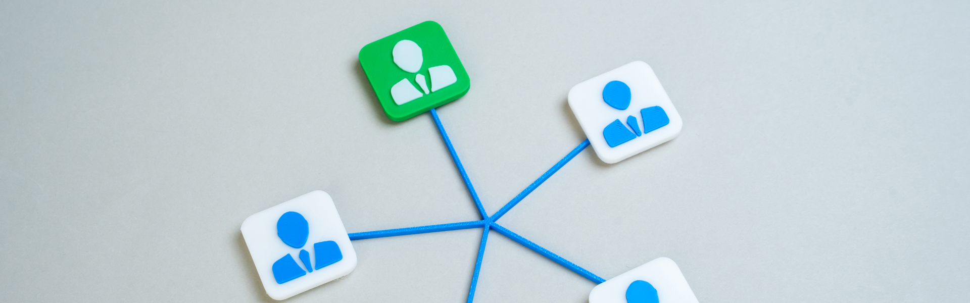 people icon connected